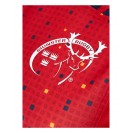 Adult Munster European Jersey 2018/19