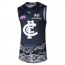 Carlton Blues 2024 Indigenous Guernsey – Men's AFL Jersey by Puma