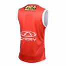 St Kilda Stickman Guernsey 2024 – Official Onfield AFL Jersey St Kilda Stickman Guernsey 2024 – Official Onfield AFL Jersey