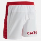Welsh Home Rugby Shorts 2021-22 – Official Team Shorts for Rugby Fans Welsh Home Rugby Shorts 2021-22 – Official Team Shorts for Rugby Fans